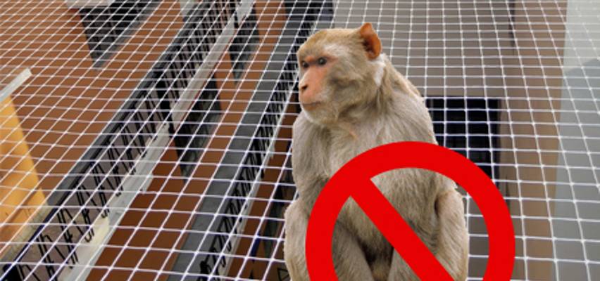 Monkey Safety Nets for Balconies in Haralur